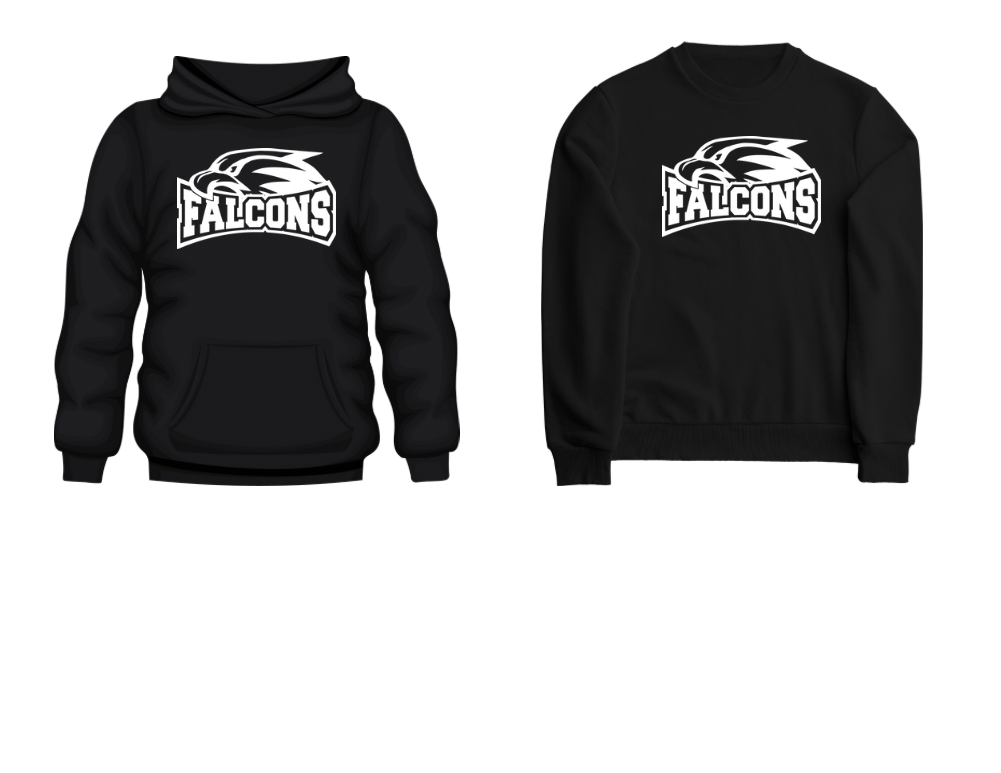 Falcons sweatshirt